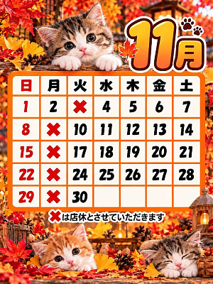 11月定休日の御案内